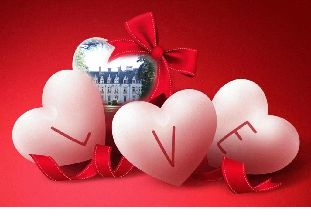 Charmant Studio Au Calme Tout Confort Dans Chateau Neo Gothique Proche Zenith Comet Orleans Parking Voiture Gratuit Wifi Haut Debit Rue Des Montees Exteriér fotografie
